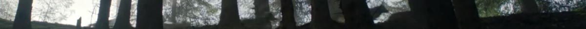 foret