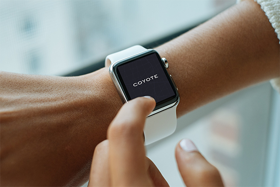 Apple watch