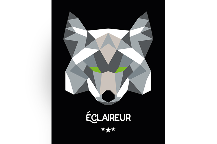 T-shirt origami Coyote